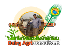 Dairy